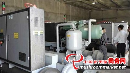 浙江 青風(fēng)環(huán)境設(shè)備助力食用菌工廠化生產(chǎn)，推動(dòng)產(chǎn)業(yè)現(xiàn)代化升級(jí)