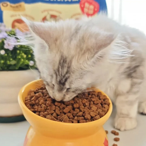 精選健壯寬敞的訂貨鵪鶉 Alibaba谷物飼養(yǎng)，一款適合各種動物的營養(yǎng)原糧